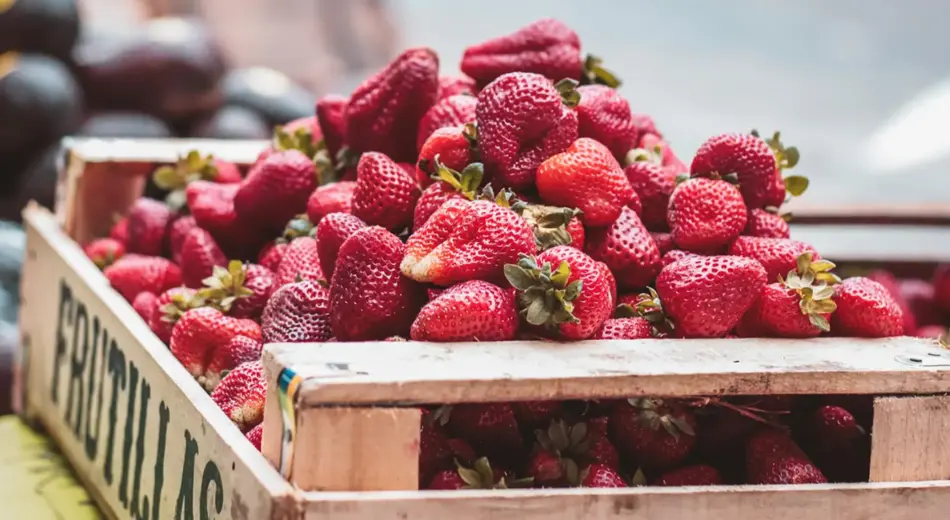 Erdbeeren